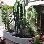 公寓 Mit Kleiner Innenhof-terrasse Im Rustikalen Stil