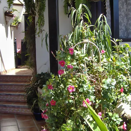 Mit Kleiner Innenhof-terrasse Im Rustikalen Stil 公寓