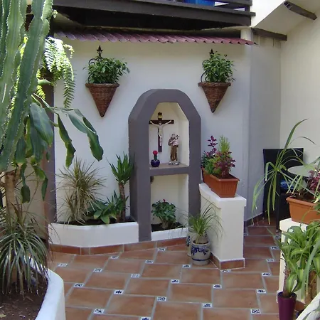 公寓 Mit Kleiner Innenhof-terrasse Im Rustikalen Stil 伊科德·德·洛斯·维诺斯