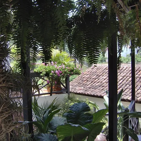 Mit Kleiner Innenhof-terrasse Im Rustikalen Stil 伊科德·德·洛斯·维诺斯